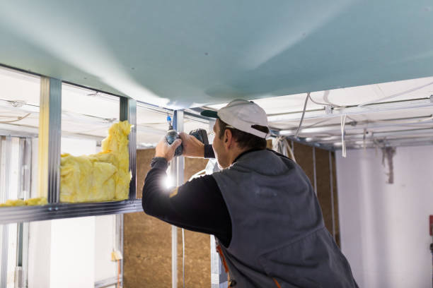 Best Insulation Maintenance and Repair in Fuller Heights, FL