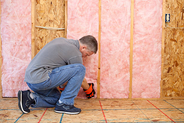 Types of Insulation We Offer in Fuller Heights, FL