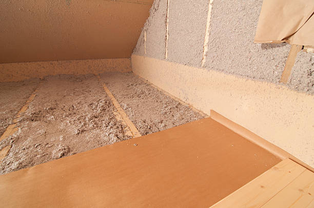 Best Blown-in Insulation in Fuller Heights, FL